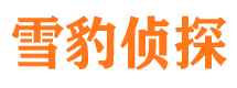 那曲市私家侦探